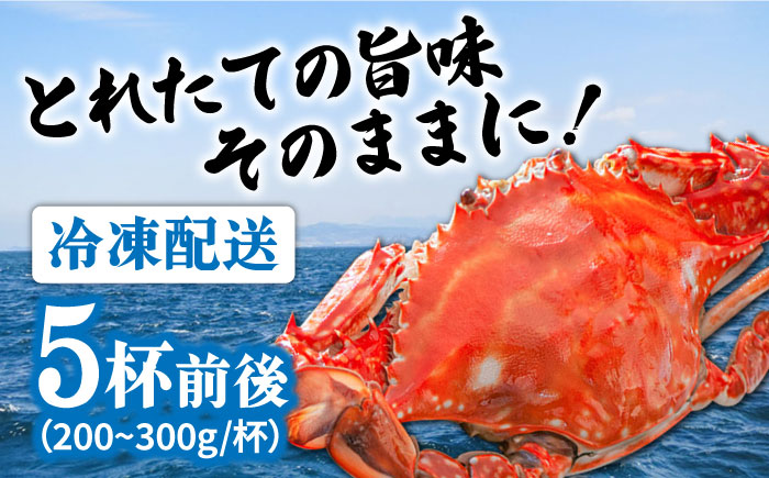 【2026年7月〜発送】【数量限定】有明海のワタリガニ 200g～300g×5匹前後 / 南島原市 / 長栄丸水産 [SFM001]
