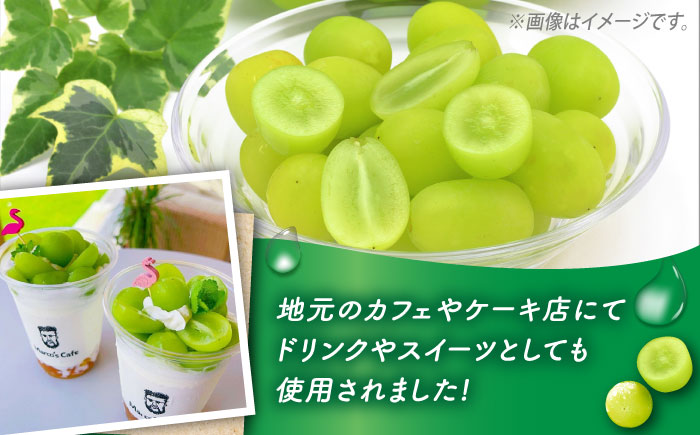 【2026年9月中旬～発送】【数量限定】【口の中であふれる果汁】大粒 シャインマスカット 2房 1.3kg以上 / ぶどう ブドウ フルーツ 果物 / 南島原市 / 川田果樹園 [SFN001]