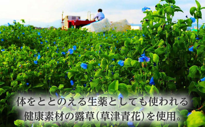 原城 極太そうめん　露草四朗　300ｇ（75ｇ×4束）/ 手延べ 麺 / 南島原市 / 銀之霊泉 [SFW003]