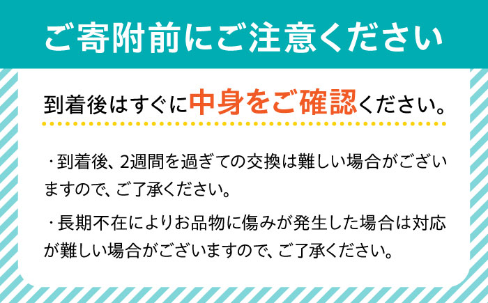 【2025年3月下旬?発送】【数量限定】長崎ハウス びわ 約1kg（約260g × 4p） / フルーツ びわ ビワ 枇杷 / 南島原市 / O' Berry! [SGA002]