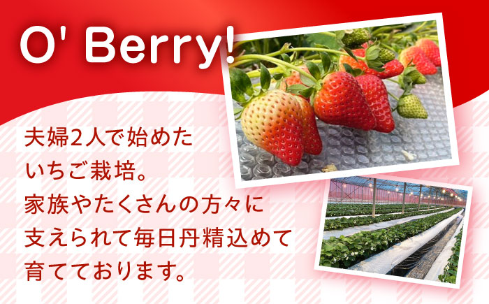 【2回定期便】【2026年3・4月お届け】【数量限定】いちご「ゆめのか」 約260g × 4P / イチゴ 苺 フルーツ 果物 産地直送 朝摘み / 南島原市 / O' Berry! [SGA003]