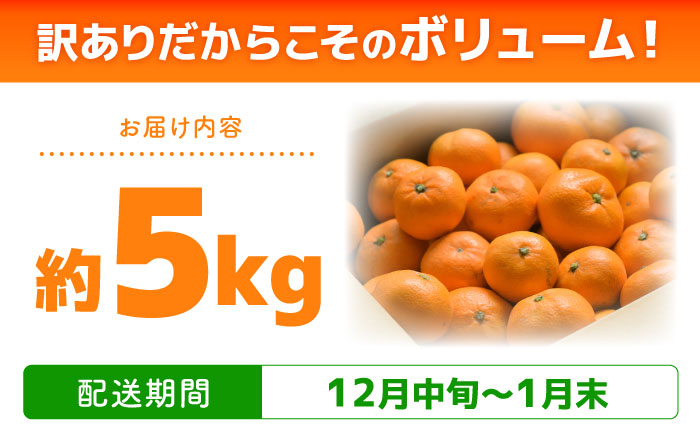 【2025年12月中旬～発送】【訳あり】家庭用 南高みかん 5kg / みかん ミカン 蜜柑 果物 フルーツ / 南島原市 / 南高果樹農業協同組合 [SGI001]
