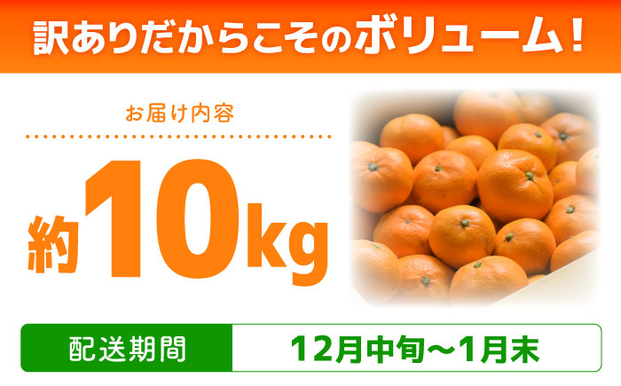 【2025年12月中旬～発送】【訳あり】家庭用 南高みかん 10kg / みかん ミカン 蜜柑 果物 フルーツ / 南島原市 / 南高果樹農業協同組合 [SGI002]