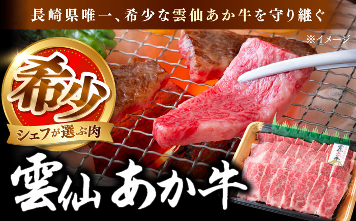 【希少】雲仙 あか牛 焼肉用 500g / 国産 長崎和牛 牛 牛肉 冷凍 / 南島原市 / 株式会社高田牧場 [SGQ007]