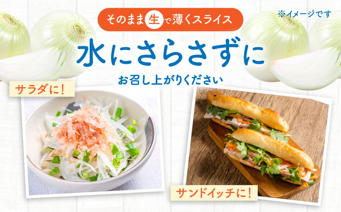 たまねぎ 5kg / タマネギ 玉葱 玉ねぎ 野菜 やさい カレー シチュー バーベキュー スープ サラダ / 南島原市 / 城谷農園 [SGV001]