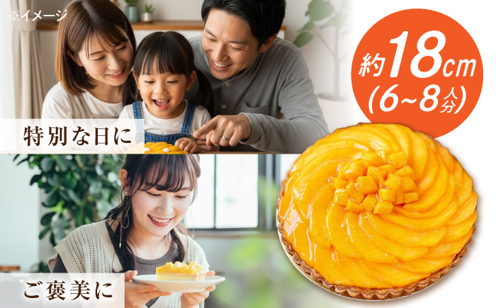 【偶数月 5回定期便】季節の タルト 定期便 / ティラミス お菓子 ケーキ チョコレート マンゴー レモン タルト フルーツ 旬 スイーツ 南島原市 / アトリエジジ [SAA034]