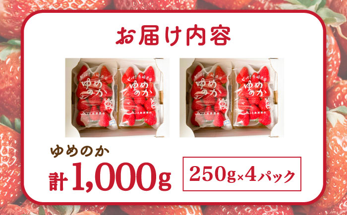 【2026年1月～発送】 いちご ゆめのか 250g × 4パック / 果物 フルーツ / 南島原市 / JA島原雲仙東南部基幹センター[SAC008]