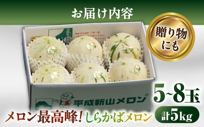 【2026年3月中旬~発送】【平成新山PREMIUM（とみちゃん厳選）】しらかばメロン 5玉～8玉 約5kg / 果物 フルーツ / 南島原市 [SAD002]