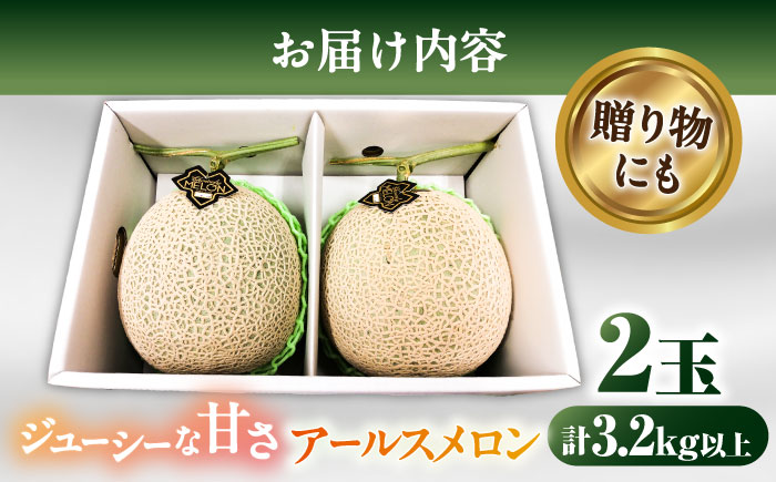 【2026年7月下旬～発送】【平成新山PREMIUM（とみちゃん厳選）】アールスメロン 2玉 / 果物 フルーツ / 南島原市 [SAD004]