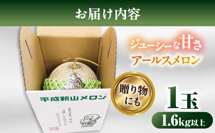 【2026年7月下旬～発送】【平成新山PREMIUM（とみちゃん厳選）】アールスメロン 1玉 / 果物 フルーツ / 南島原市 [SAD005]