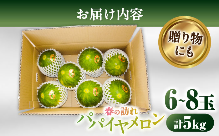 【2026年3月中旬~発送】【平成新山PREMIUM（とみちゃん厳選）】パパイヤメロン 6～8玉 約5Kg / 果物 フルーツ / 南島原市 [SAD007]