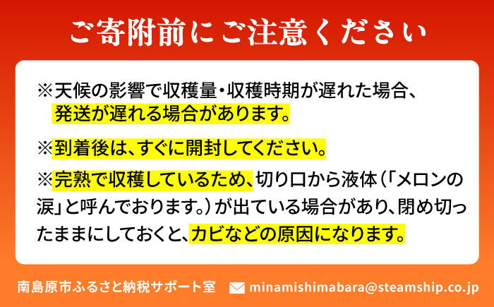 【2026年7月初旬～発送】グリーンメロン 2玉 約4kg / メロン めろん 果物 フルーツ / 南島原市 / うえだメロン園 [SAD010]