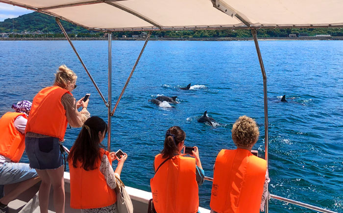 南島原 イルカウォッチング  子ども用 ペアチケット / イルカ 観光 南島原市 / 南島原イルカウォッチング [SAE004]