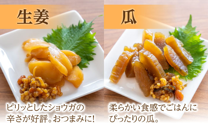 茄子 の 宝漬 （こうじ漬 詰合） / 漬物 なす こうじ きゅうり 大根 生姜 瓜 もろみ / 南島原市 / 大平食品 [SAK003]