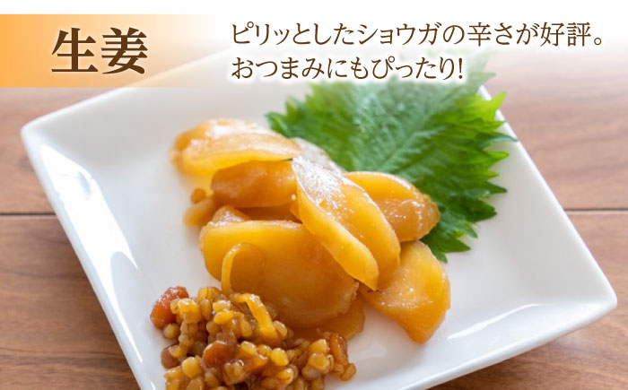 茄子 の 宝漬 （こうじ漬 詰合）800g / 漬物 ご飯のおとも 茄子 きゅうり 生姜 大根 / 南島原市 / 大平食品 [SAK004]