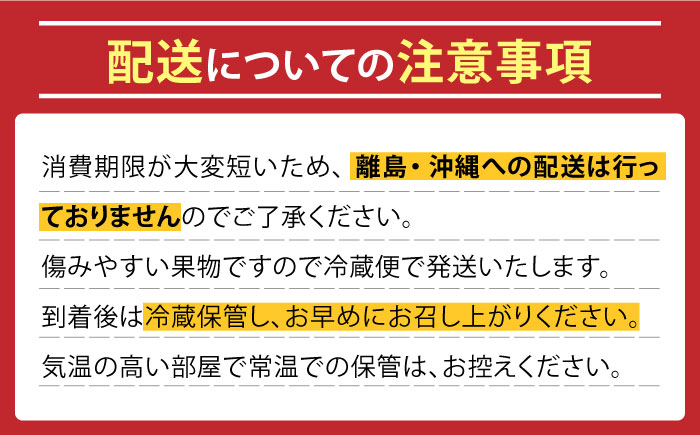 【2026年6月?発送】どちらが届くかはお楽しみ！温室桃 約1kg / 日川白鳳 or ももか / フルーツ 果物 / 南島原市 / 川田農園 [SAP002]