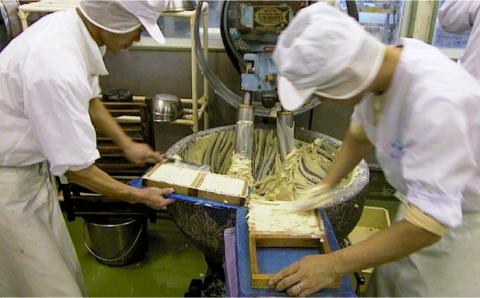 とうふ 蒲鉾 6本 入 セット / かまぼこ カマボコ おつまみ / 南島原市 / しきしま蒲鉾 [SAR010]