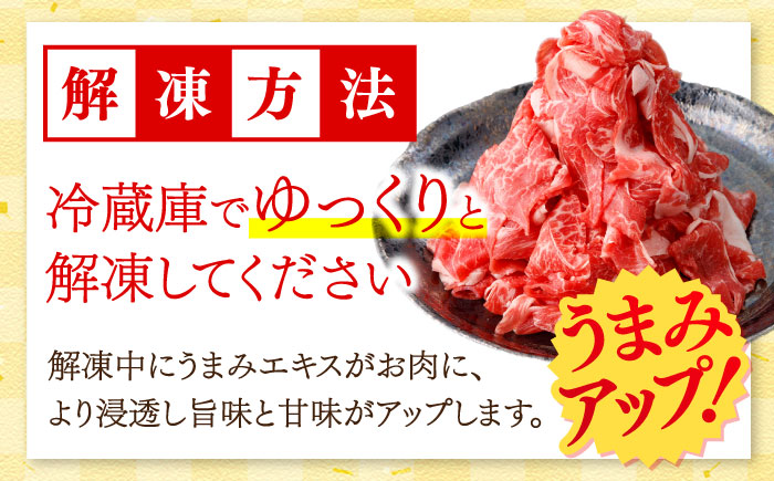 【12回定期便】国産 黒毛和牛 熟成肉 切り落とし計1kg（500g×2パック）/ 小分け 国産牛 お肉 牛肉 切落し 冷凍 焼肉 すき焼き / 南島原市 / ふるさと企画 [SBA097]