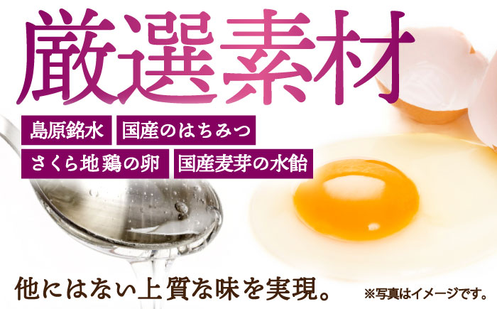 長崎 かすてら 五三焼 ハニー 500g×2本 / お菓子 スイーツ ギフト / 南島原市 / 川崎 [SBI011]