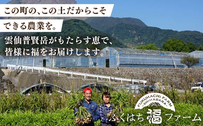【2026年5月下旬～発送】特別栽培 小玉 ハウスもも（Mサイズ：10パック） / フルーツ 果物 旬 / 南島原市 / ふくはちファーム/福島農園 [SBS008]