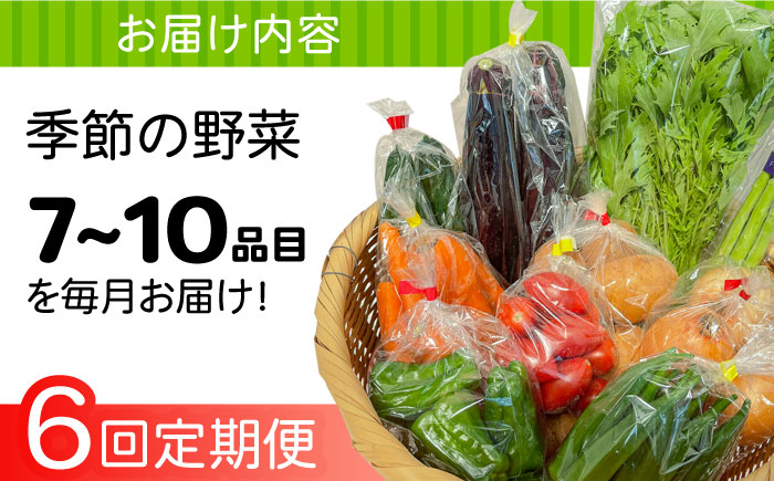 【6回定期便】直売所より発送！季節の野菜セット 7～10品目 / 野菜定期便 野菜 やさい 旬 詰め合わせ / 南島原市 / ながさき南部生産組合 [SBW004]