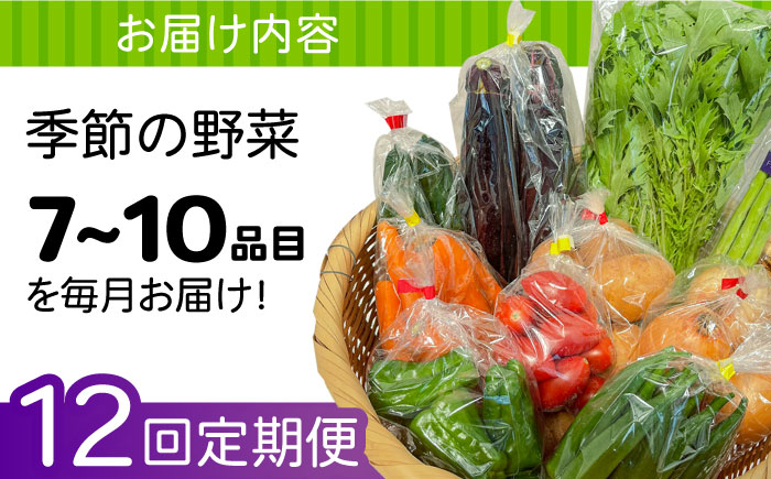 【12回定期便】直売所より発送！季節の野菜セット 7～10品目 / 野菜定期便 野菜 やさい 旬 詰め合わせ / 南島原市 / ながさき南部生産組合 [SBW005]