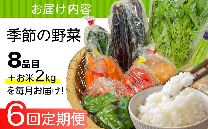 【6回定期便】直売所より発送！お米と季節の野菜セット 8品目 / 米 こめ 白米 野菜定期便 野菜 やさい 旬 詰め合わせ / 南島原市 / ながさき南部生産組合 [SBW014]