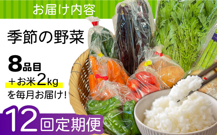 【12回定期便】直売所より発送！お米と季節の野菜セット 8品目 / 米 こめ 白米 野菜定期便 野菜 やさい 旬 詰め合わせ / 南島原市 / ながさき南部生産組合 [SBW015]