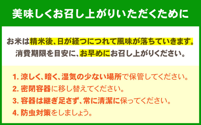 【数量限定】ひのひかり 玄米 30kg 1袋 / 米 こめ コメ げんまい / 南島原市 / ながさき南部生産組合 [SBW027]