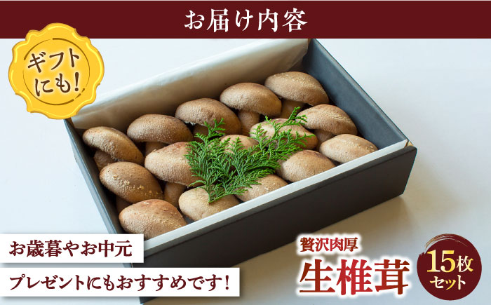 【一度食べたら忘れられない】九州で唯一！ 希少な生椎茸 【優品】15枚セット / きのこ キノコ 茸 / 南島原市 / サンエスファーム [SBX003]