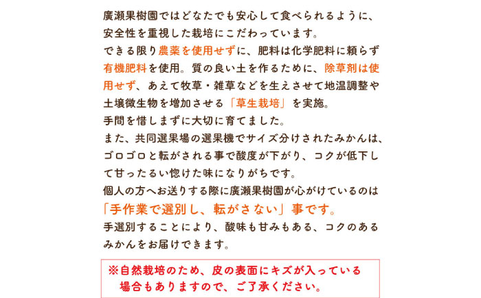 【2026年10月下旬～発送】【甘味が凝縮！】 濃厚 小玉みかん 5kg 温州みかん  2Sサイズ以下 / みかん 小玉 フルーツ 果物 くだもの 柑橘 蜜柑 ミカン / 南島原市 / 長崎県農産品流通合同会社 [SCB058]