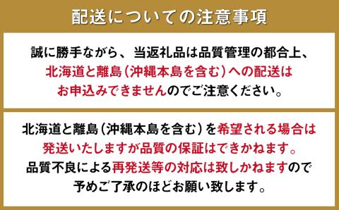 【6回定期便 Bコース】フルーツ定期便 旬のフルーツセット / フルーツ 詰め合わせ 春フルーツ 夏フルーツ 秋フルーツ 冬フルーツ / 南島原市 / 長崎県農産品流通合同会社 [SCB066]