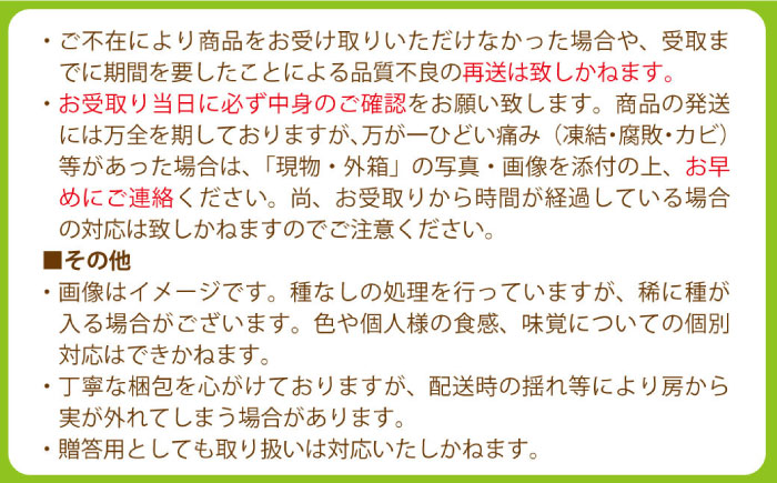 【2026年8月中旬～発送】【数量限定】シャインマスカット 2kg（3房～5房）/ マスカット ますかっと ぶどう 葡萄 ブドウ フルーツ 果物 / 南島原市 / 長崎県農産品流通合同会社 [SCB084]