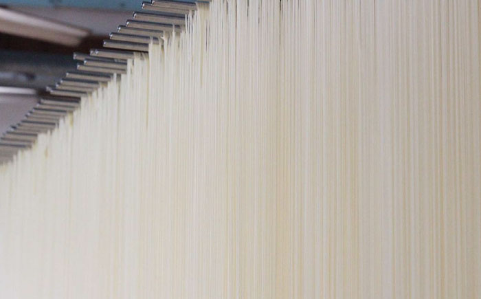 【4代目 麺匠 高橋優】 極細 そうめん 50g×16束 800g / 南島原市 / 高橋正製麺所 [SCG001]