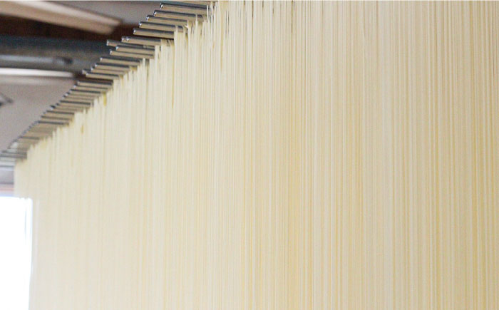 【４代目 麺匠 高橋優】 手延べ そうめん 手延べ うどん 詰め合わせ セット 50g×16束 800g / 南島原市 / 高橋正製麺所 [SCG015]