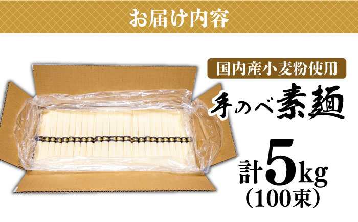 【手のべ陣川】熟成麺 島原 手延べ そうめん 5kg / L-100 / 化粧箱 手延べ 麺 / 南島原市 / ながいけ [SCH026]
