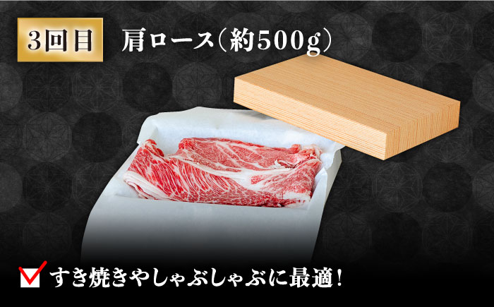 【豪華4回定期便】長崎和牛 食べ比べ / ヒレ サーロイン ロース シャトーブリアン / 南島原市 / ながいけ [SCH045]