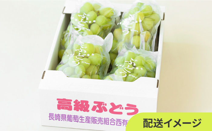 【2025年7月～発送】先行予約！【２回定期便】南島原産！旬のぶどう食べ比べ（ブラックビート・巨峰・ピオーネのいずれか）・シャインマスカット / 南島原市 / ながいけ [SCH062]