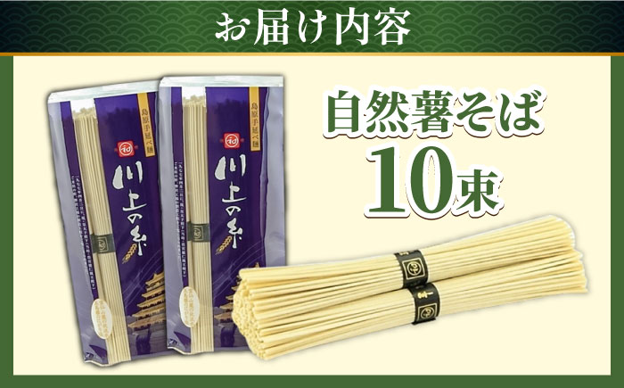 年越しそば 手延べ 自然薯 そば 500g（250g×2）/ 乾麺 麺 自然薯 3000円 3000 年内配送 年内発送 / 南島原市 / 川上製麺 [SCM021]