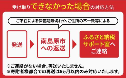 【宮内庁献上品】島原手延べそうめん 川上の糸500g  / 手延べ 麺 素麺 2000円 2000 / 南島原市 / 川上製麺 [SCM028]