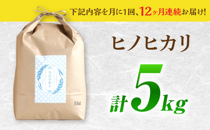 【南島原市産ヒノヒカリ】5kg×12回 定期便 / ひのひかり 米 お米 こめ コメ 精米 / 南島原市 / 林田米穀店 [SCO003]