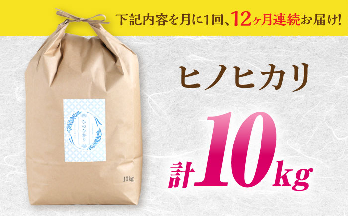 【南島原市産ヒノヒカリ】10kg×12回 定期便 / ひのひかり 米 お米 こめ コメ 精米 / 南島原市 / 林田米穀店 [SCO007]