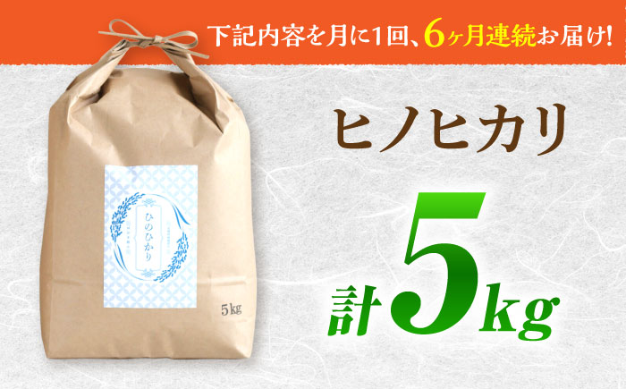 【南島原市産ヒノヒカリ】5kg×6回 定期便 / ひのひかり 米 お米 こめ コメ 精米 / 南島原市 / 林田米穀店 [SCO009]