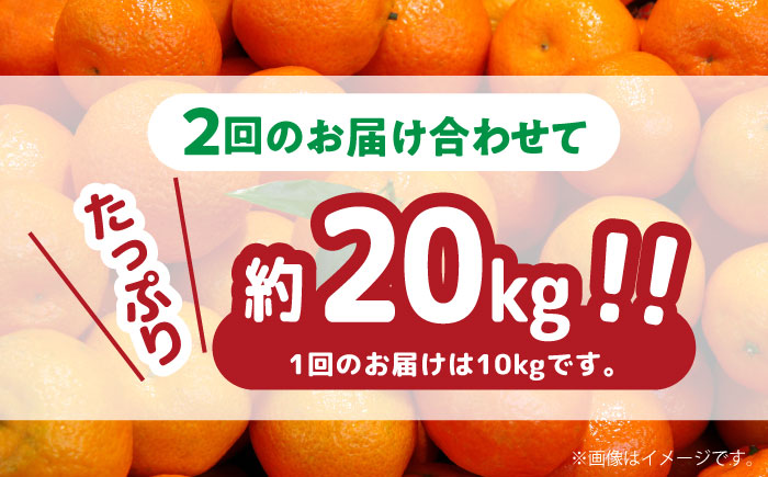 【2025年12月～発送】【2回定期便】高糖度 温州みかん（約10kg×2回） / 果物 くだもの 果物定期便 フルーツ ふるーつ フルーツ定期便 旬 家庭用 10kg / 南島原市 / 南島原果物屋 [SCV002]