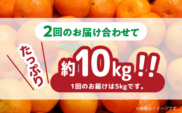 【2025年12月～発送】【訳あり 2回 定期便 】 温州みかん 約5kg（傷もの） / 果物 くだもの 果物定期便 フルーツ ふるーつ フルーツ定期便 旬 家庭用 5kg / 南島原市 / 南島原果物屋 [SCV018]