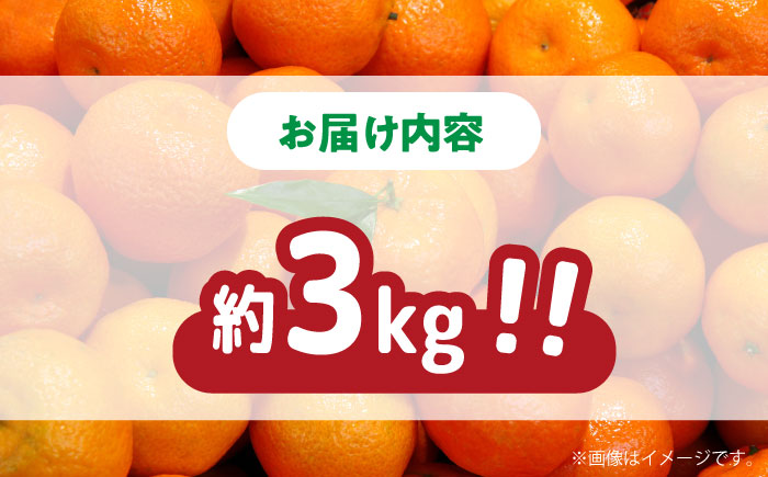 【2025年11月下旬～発送】【高糖度】訳あり 温州みかん 約3kg（傷もの）/ みかん ミカン 蜜柑 果物 フルーツ / 南島原市 / 南島原果物屋 [SCV022]