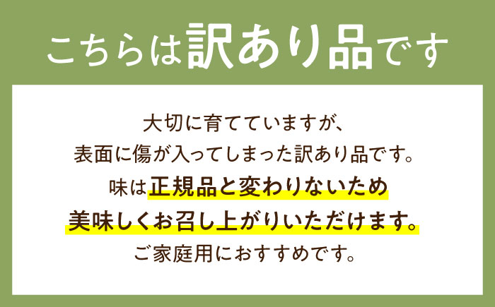 【2026年5月～発送】【さわやかな味!】訳あり タカミメロン 2箱セット（1箱 3～6玉）（傷もの）/ メロン めろん フルーツ 果物 / 南島原市 / 南島原果物屋 [SCV026]