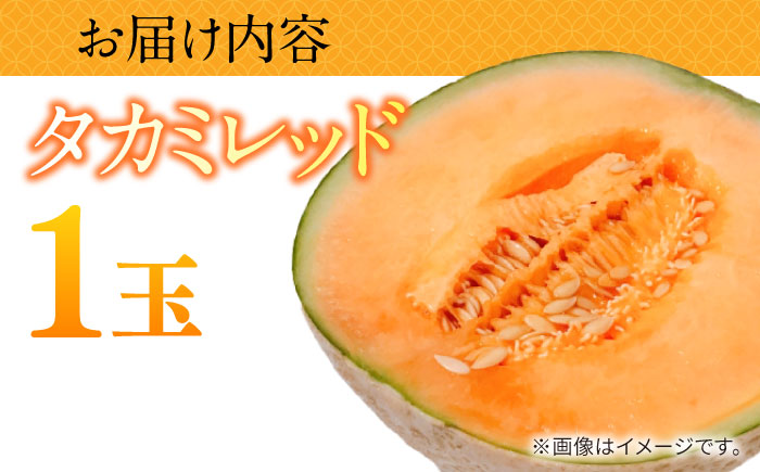 【2026年5月～発送】タカミメロン レッド 1玉 / メロン めろん フルーツ 果物 / 南島原市 / 南島原果物屋 [SCV029]