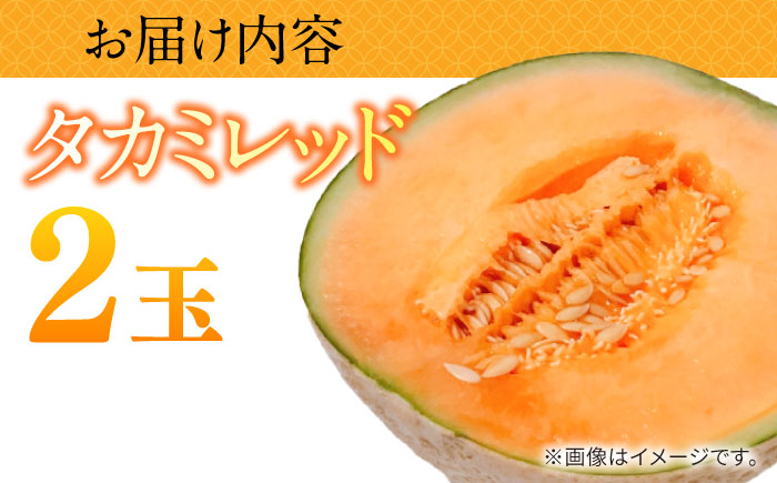 【2026年5月～発送】タカミメロン レッド 2玉 / メロン めろん フルーツ 果物 / 南島原市 / 南島原果物屋 [SCV030]