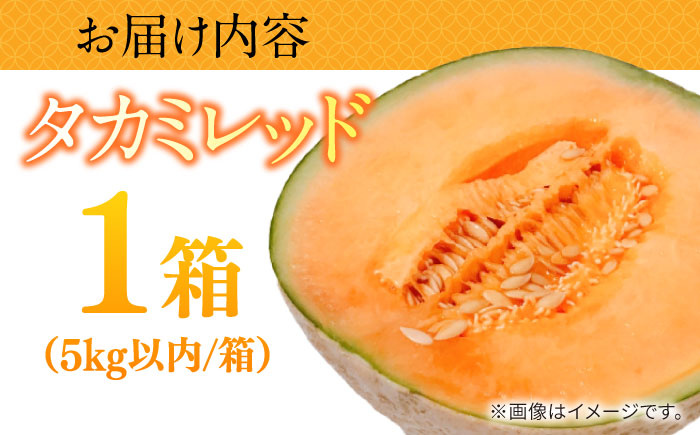 【2026年5月～発送】タカミメロン レッド 1箱 5kg以内（3～6玉） / メロン めろん フルーツ 果物 / 南島原市 / 南島原果物屋 [SCV031]